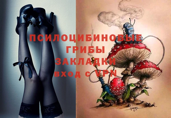 гашик Беломорск