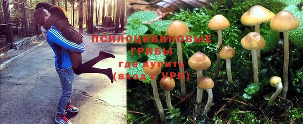 гашик Беломорск