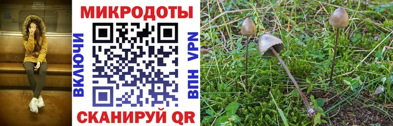 где купить   дарк нет как зайти  Псилоцибиновые грибы GOLDEN TEACHER  Кувшиново 