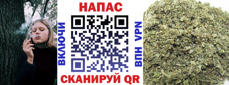 Канабис AK-47  закладки  Кувшиново 